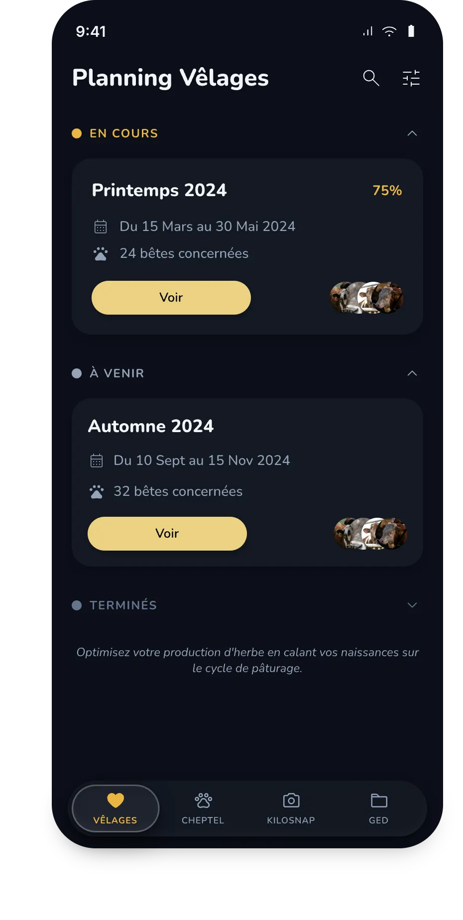 Calving schedule screen: current and upcoming campaigns with the number of animals involved